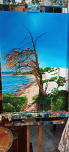 Load image into Gallery viewer, 01145-Sa Rapita Mallorca oil on canvas 50 x 70 2026