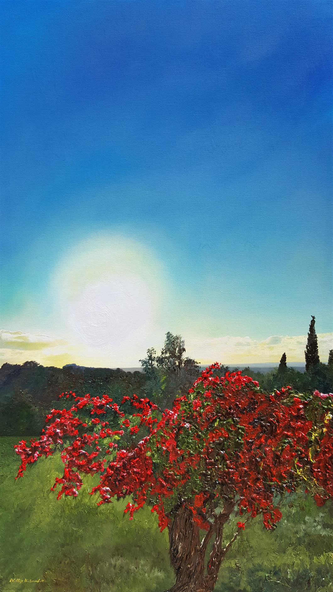 01082 - Bougainvillea oil on canvas 60 x 95 Mallorca 2017 (120)